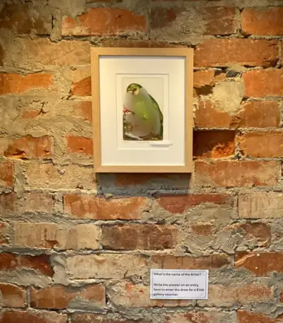 Competition 10 Clue