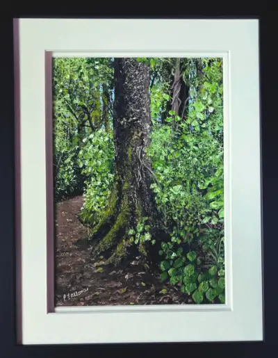 Pauline Allomes A Stroll In Gordons Bush