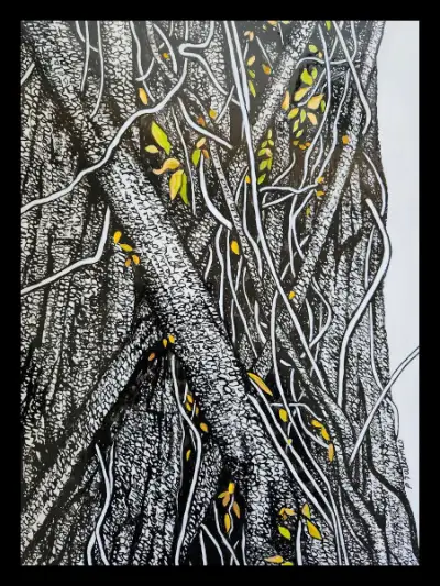 Pauline Allomes Nature is Home