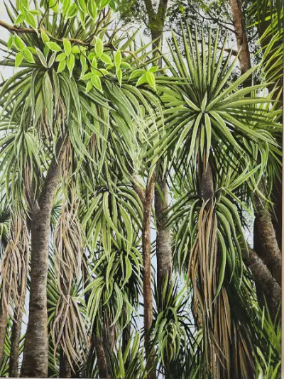 Pauline Allomes The Beauty of a Cabbage Tree