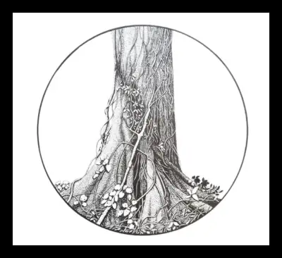 Pauline Allomes The Earth is a Gift
